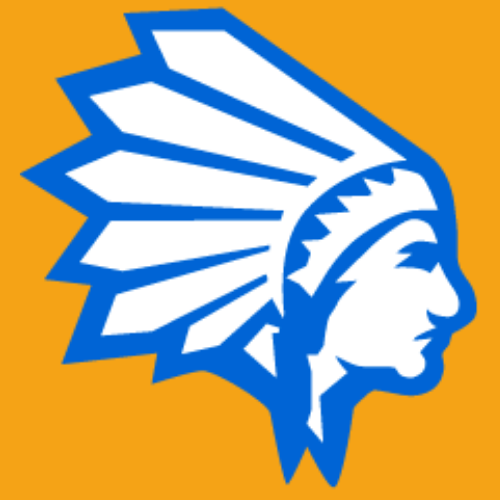 数字酋长免费选品